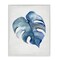 Stupell Industries Blue Monstera Leaf Framed Giclee Wall Art Design by Hannah Dawson